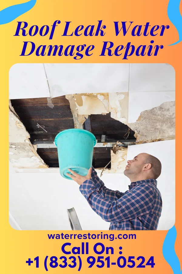 Roof Leak Water Damage Repair in Sardis City, AL