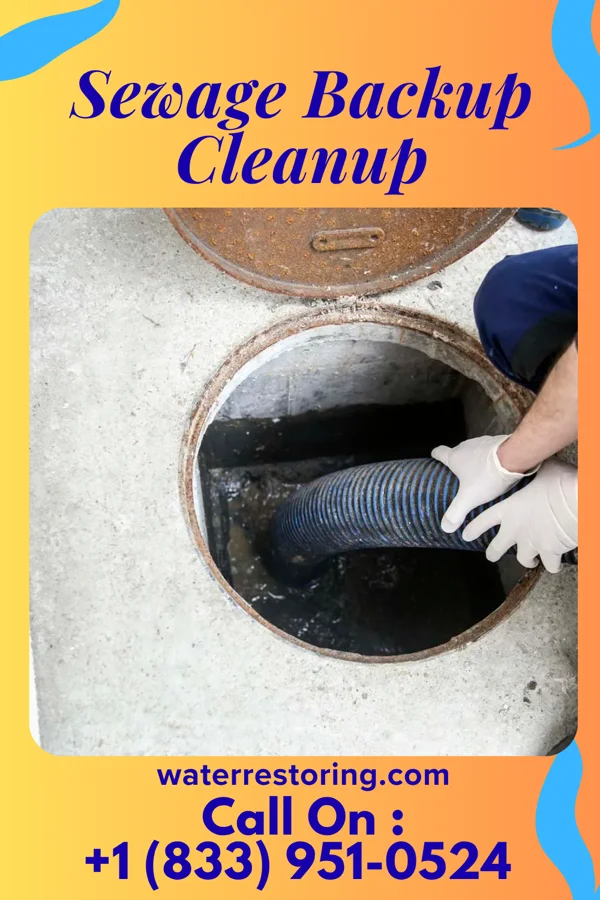 Sewage Backup Cleanup in Sardis City, AL